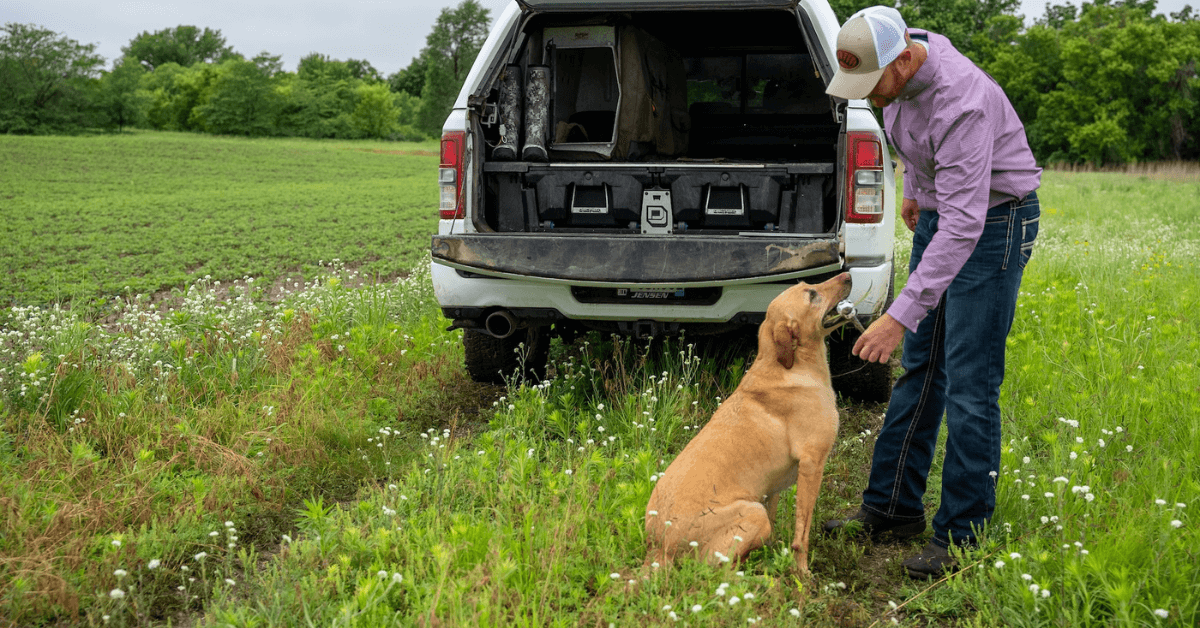 Featured Image for The Best Hunting Dog Breeds